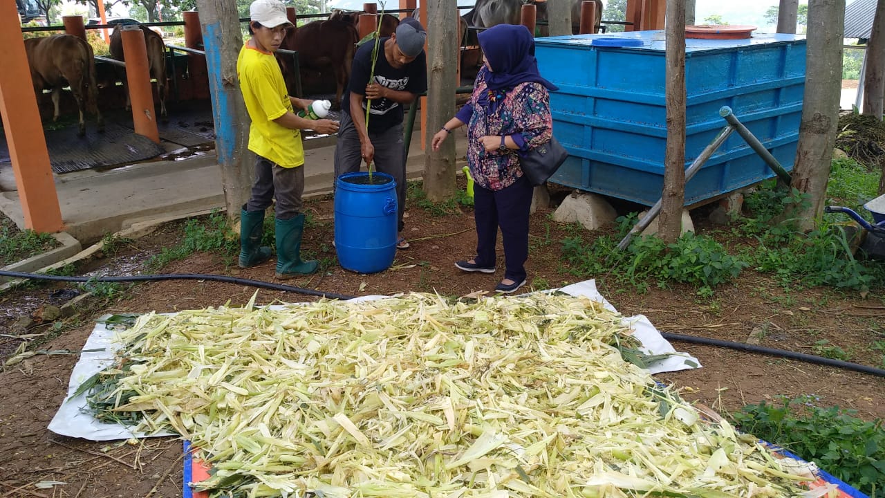 Saung Berkarya