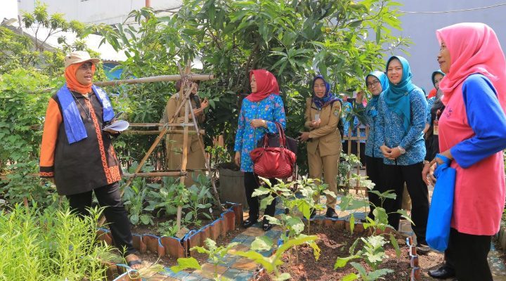 Tim Verifikasi Pusat