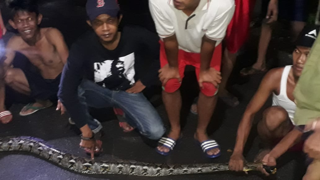 Img 20200513 Wa0034