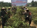Polres Metro Tangerang Kota Panen Ketahanan Pangan