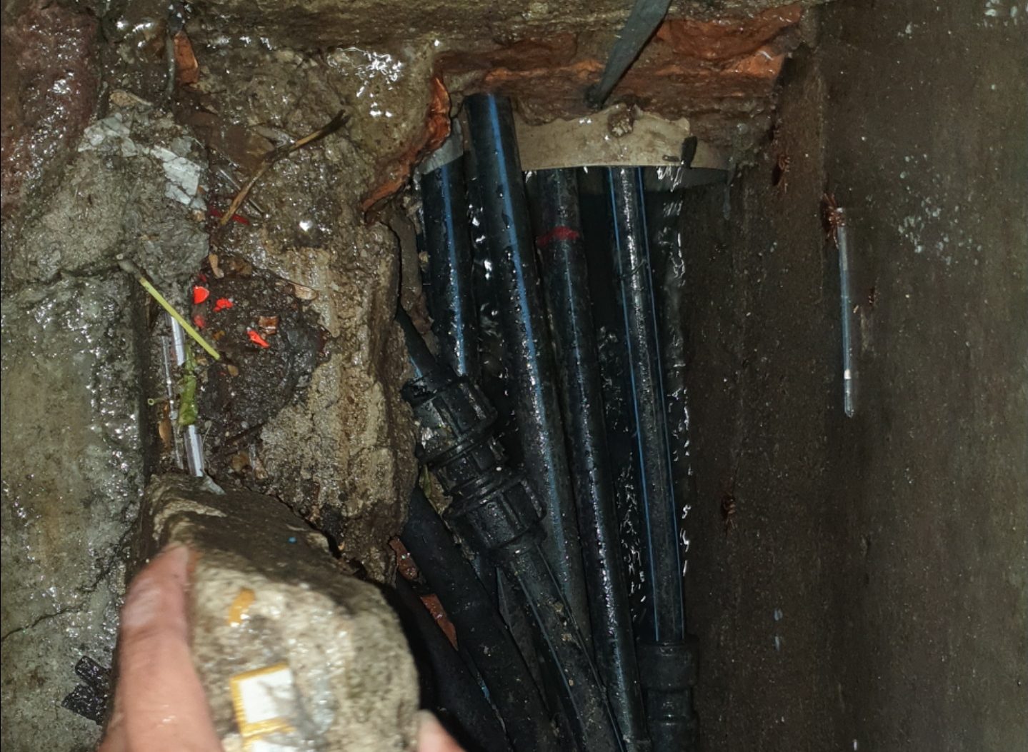 Screenshot 20200915 141715 Gallery