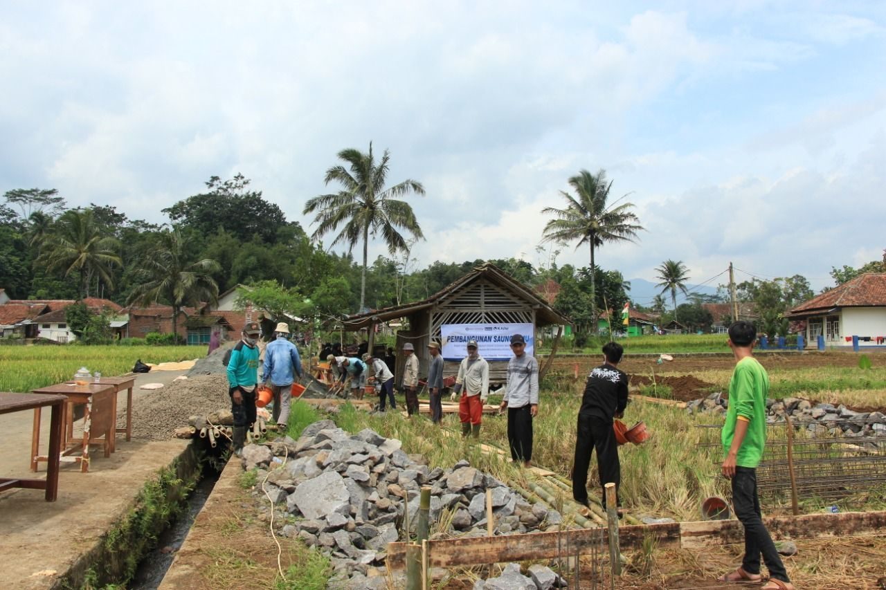 Saung ilmu desa berdikari