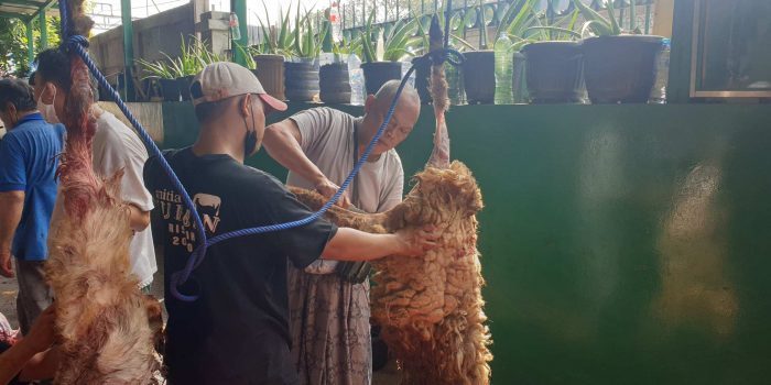 20210720 100922 compress6