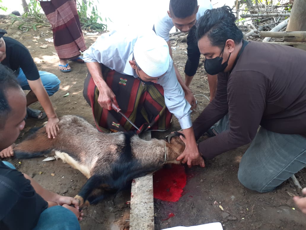 Penyembelihan Hewan Kurban Kegiatan Forwat di Idul Adha 1442 Hijriyah 2021