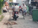 jalan sumurpacing