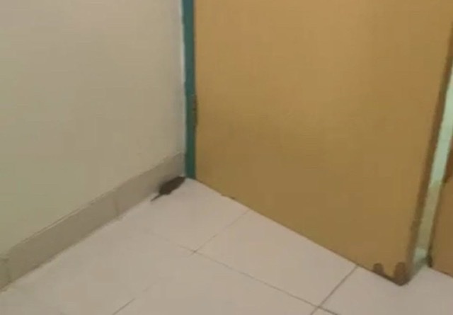 Kamar Perawatan RS Sari Asih