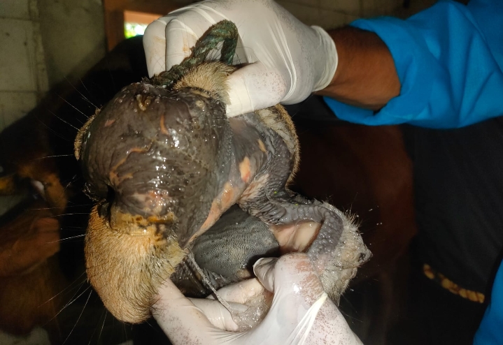 screenshot 2023 01 06 06 09 48 75