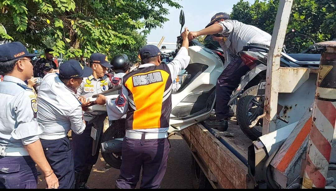 img 20230824 wa0157 img 20230824 wa0157