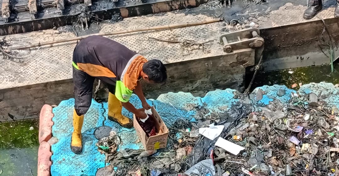 img 20230906 wa0061 img 20230906 wa0061