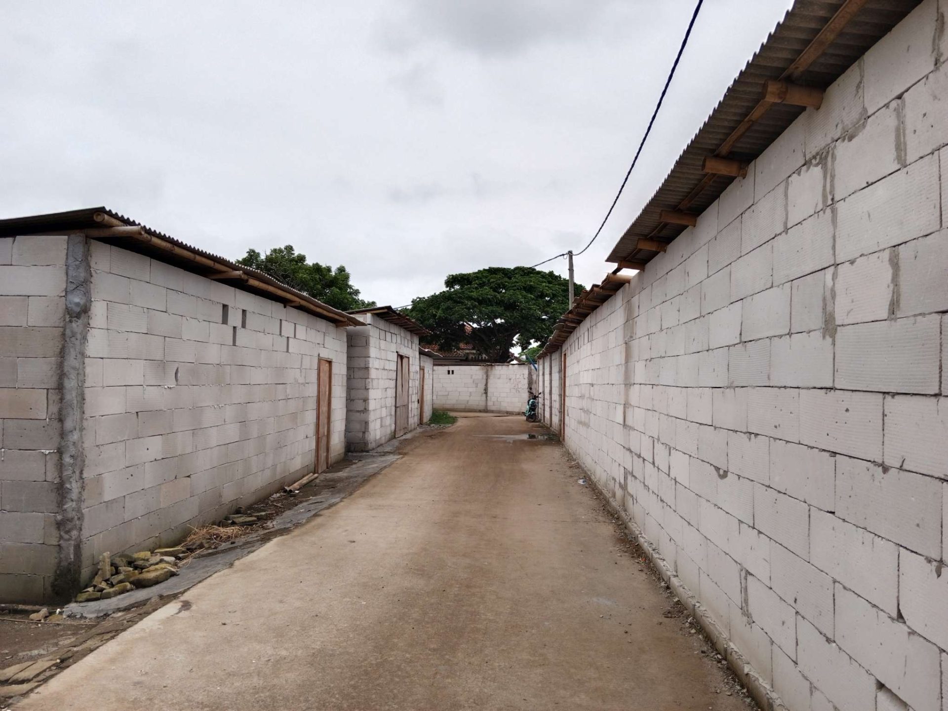 compress 20240315 122551 1119