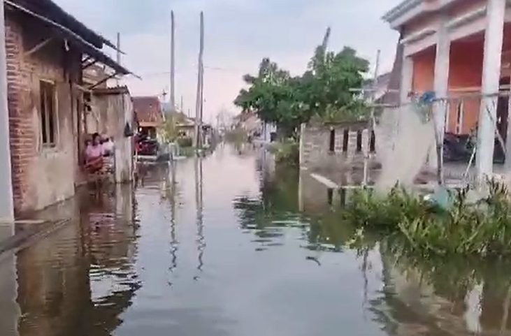 screenshot (687) screenshot (687)