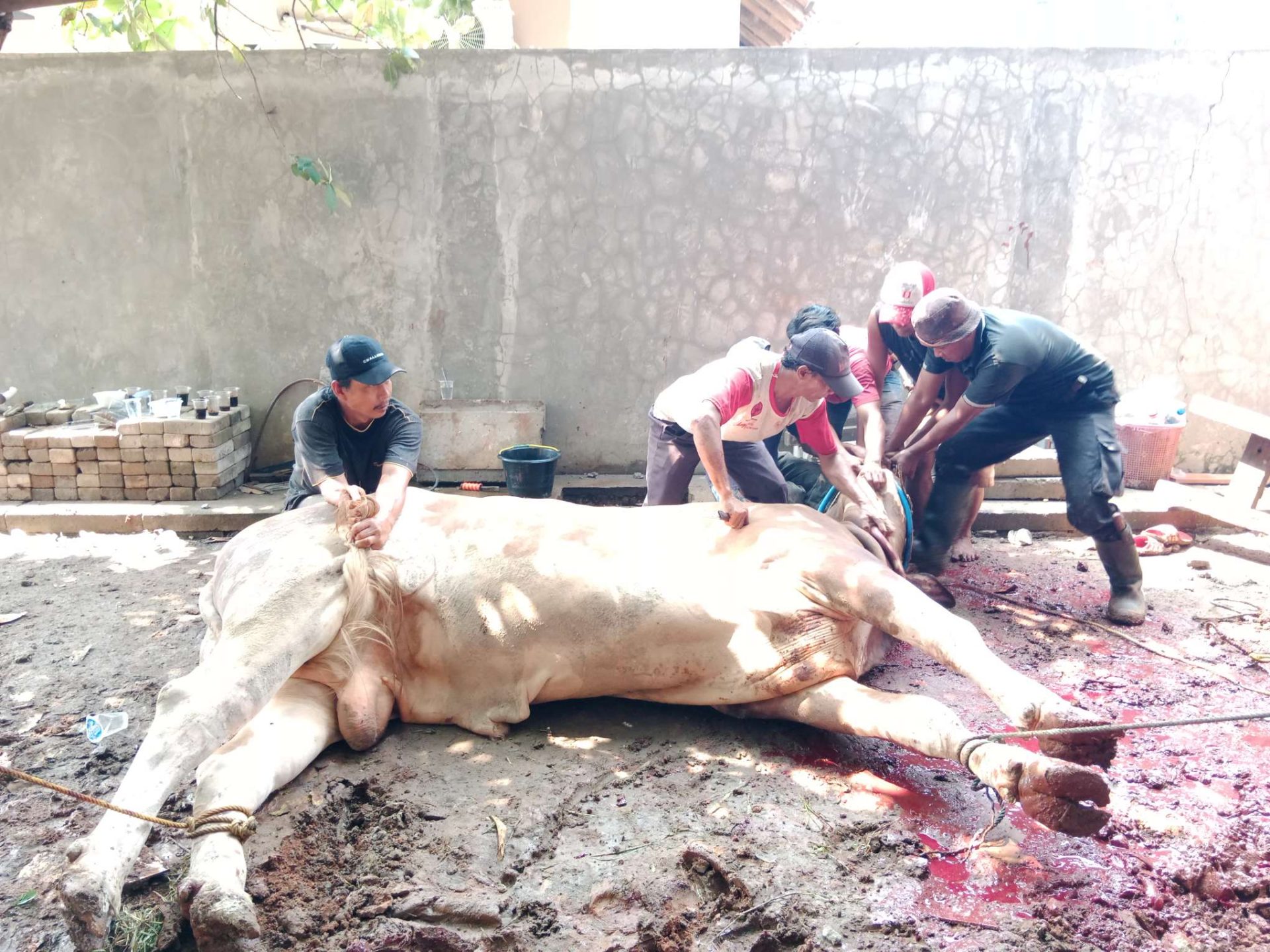 compress 20240618 114711 1318