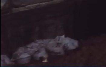 screenshot (724) screenshot (724)