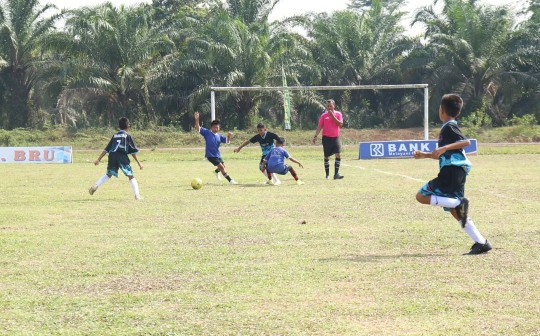 img 20241002 153511 copy 540x336