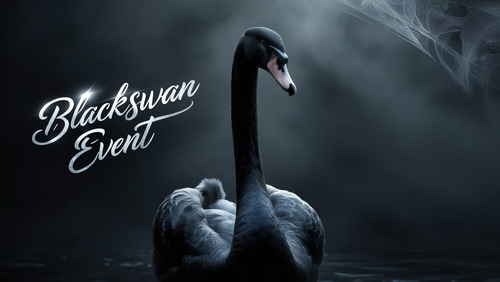 ilustrasi black swan ilustrasi black swan