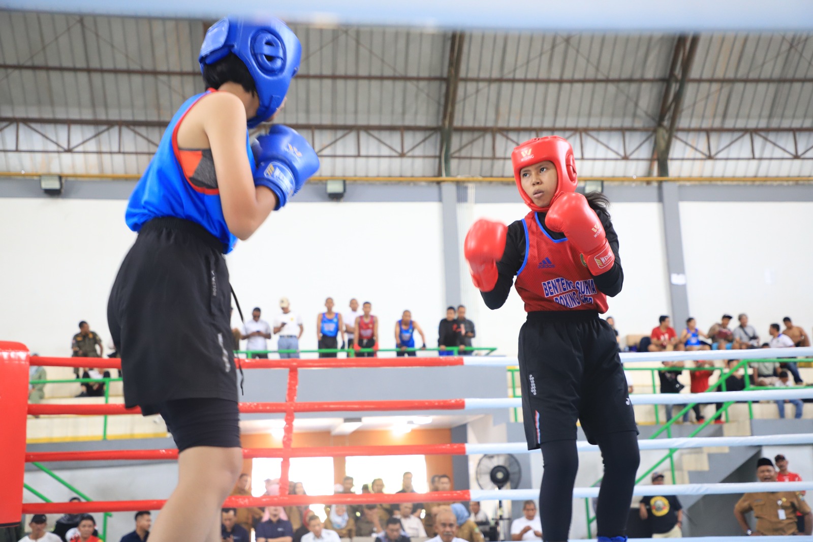 gelar tinju kota tangerang gelar tinju kota tangerang