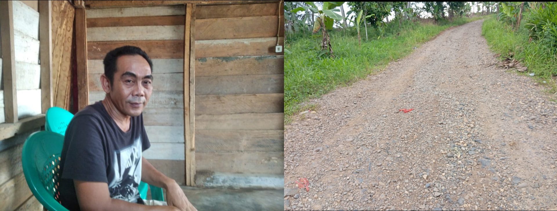 1735484423 picsay 1735484423 picsay