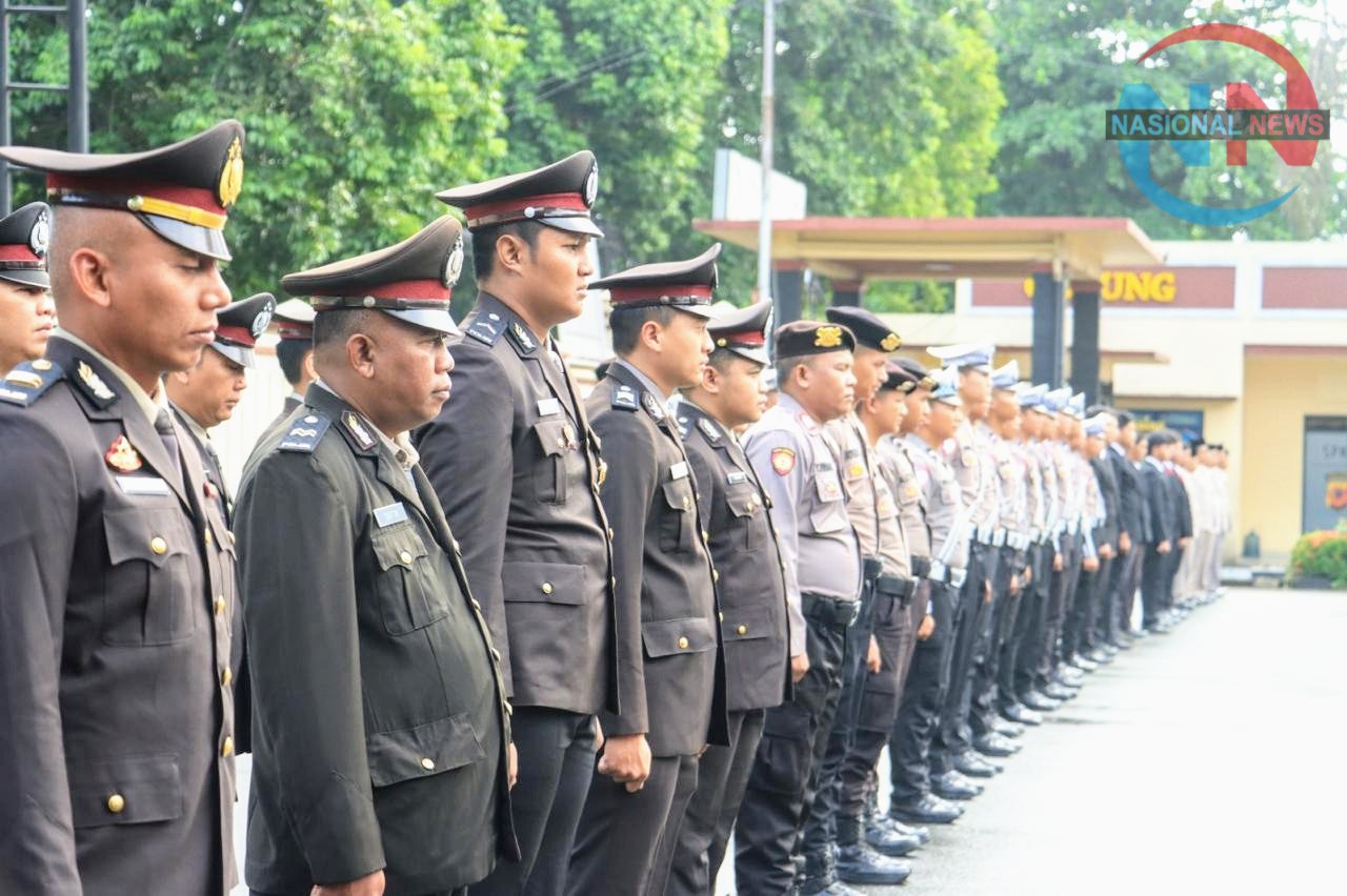 img 20241219 183344~2