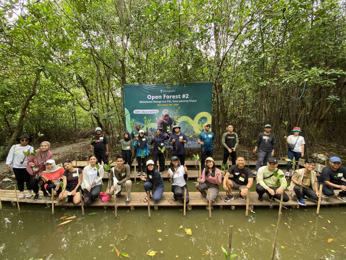 lindungihutan gelar open forest 2 di kawasan ekosistem mangrove pantai indah kapuk
