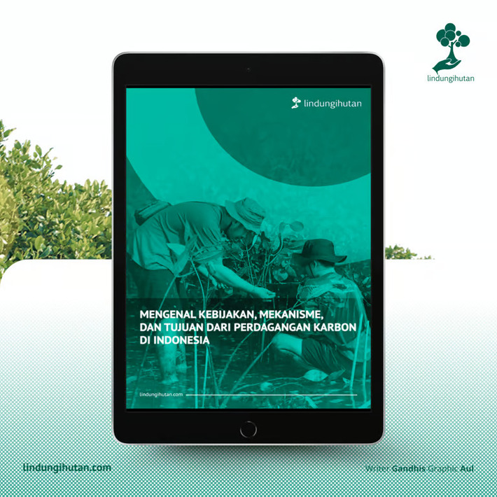 panduan praktis memahami perdagangan karbon di indonesia