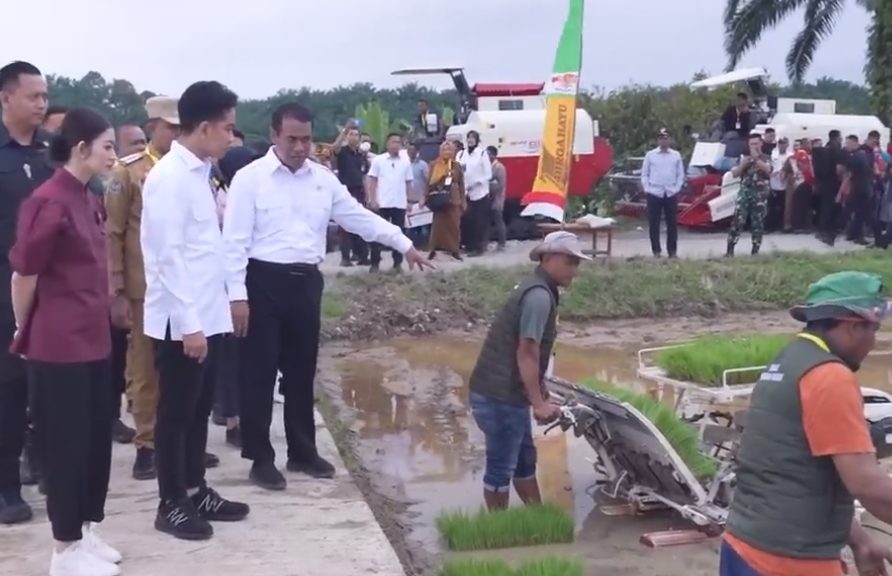 screenshot (918) screenshot (918)