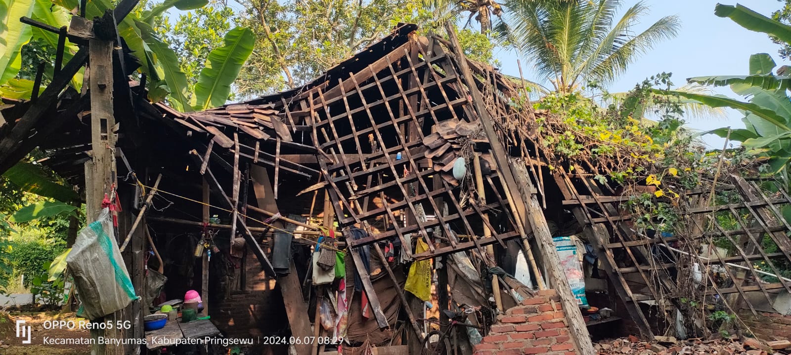 img 20250105 wa0011 img 20250105 wa0011