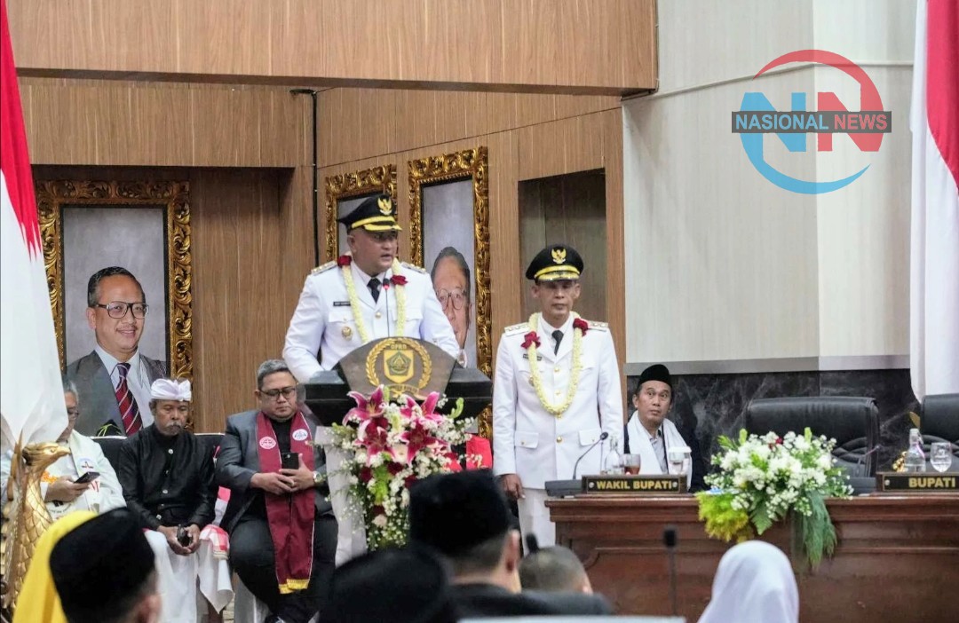 img 20250220 220901 img 20250220 220901