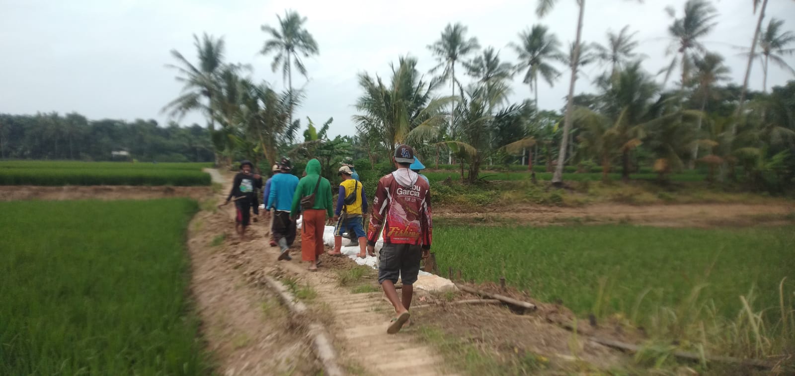 jalan tani desa cimanis kecamatan sobang kabupaten pandeglang jalan tani desa cimanis kecamatan sobang kabupaten pandeglang