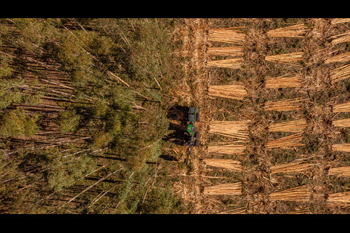 koltiva dorong dialog multi pemangku kepentingan tentang regulasi anti deforestasi uni eropa dan kepatuhan untuk keberlanjutan industri (1)