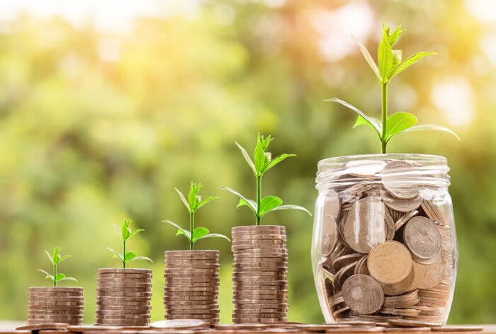 roi (return on investment)
