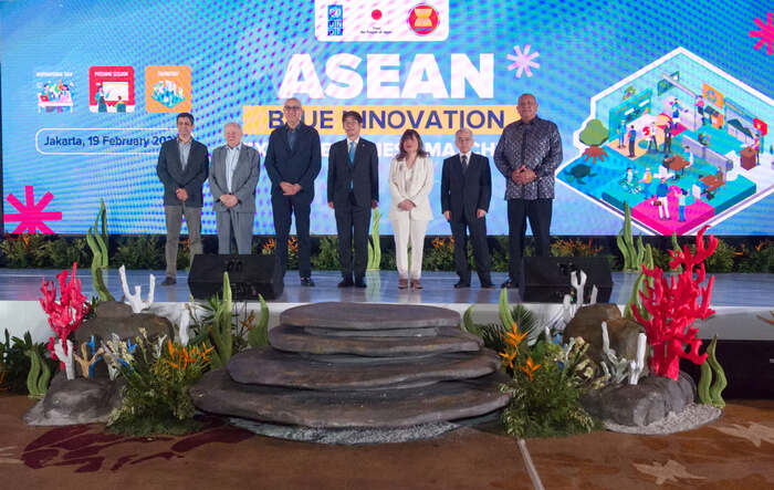 undp indonesia
