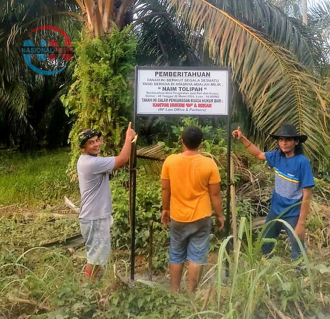 img 20250311 173128 img 20250311 173128