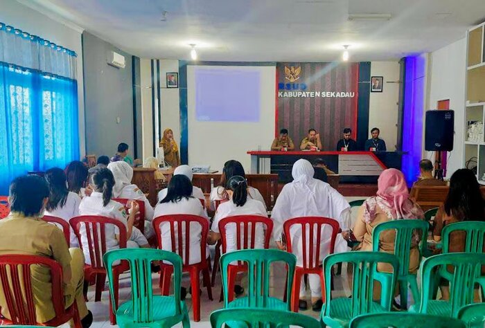 transformasi digital rsud kabupaten sekadau, periksa.id