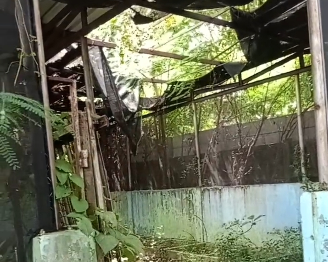 screenshot 2025 04 24 16 12 14 38 99c04817c0de5652397fc8b56c3b3817