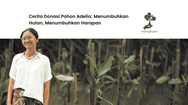 aksi adelia menjadi inspirasi bagi gerakan menanam pohon