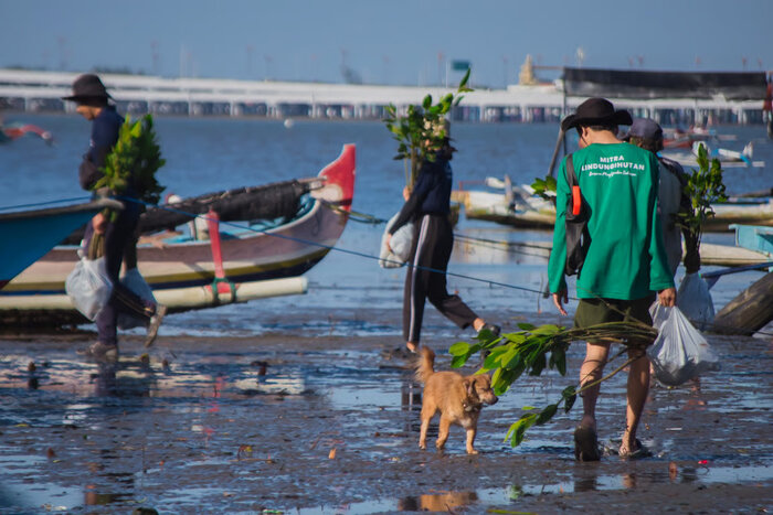 lindungihutan capai target 1 juta pohon lindungihutan capai target 1 juta pohon