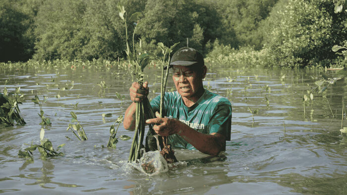lindungihutan peringati hari keanekaragaman hayati internasional