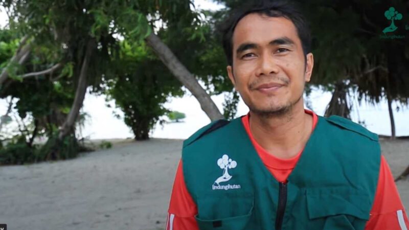 tokoh penggerak penghijauan, pilar aksi hijau lindungihutan di daerah