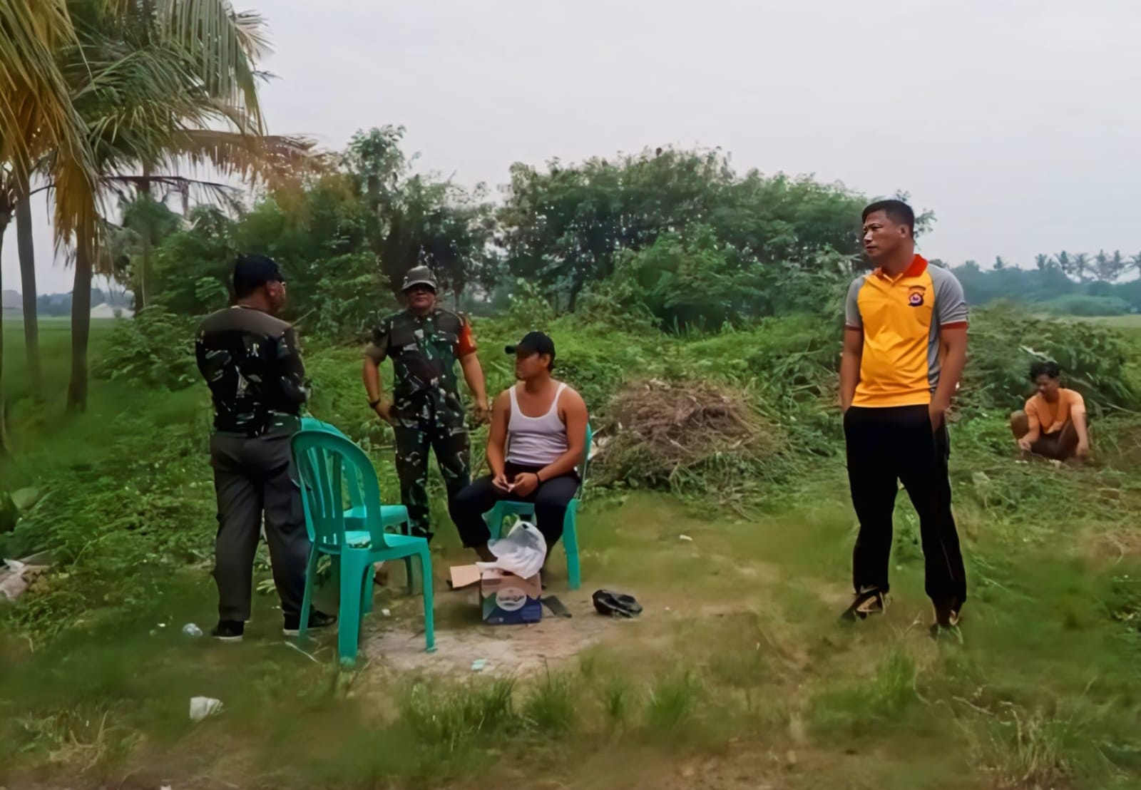 img 20250711 wa0092 img 20250711 wa0092