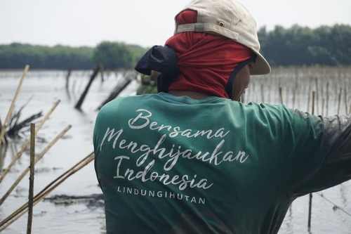 jejak karbon lindungihutan (1)
