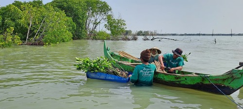 kampanye pohon lindungi hutan (3)