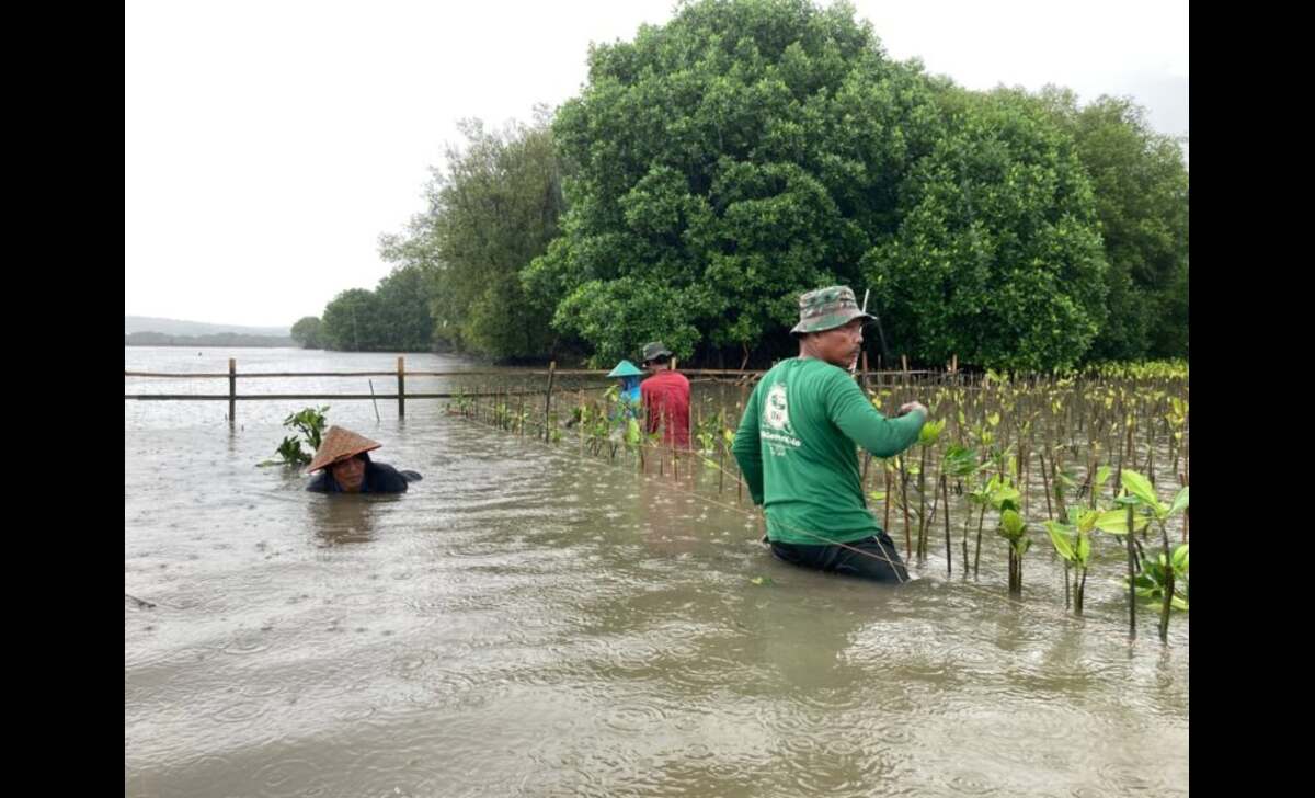 lindungihutan ajak publik lestarikan alam di hari konservasi alam sedunia