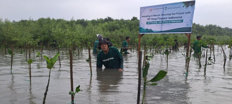 pt hino finance indonesia tanam 1.400 mangrove, perkuat benteng hijau pesisir makassar