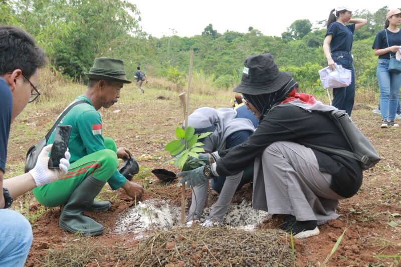 sambut plastic free july, lindungihutan dorong aksi penanaman pohon