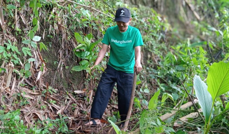 tiga lokasi penanaman paling mendesak