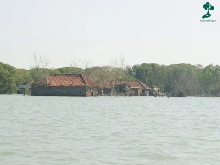 desa tenggelam (1)