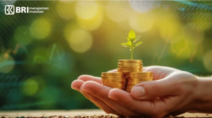 investasi bri