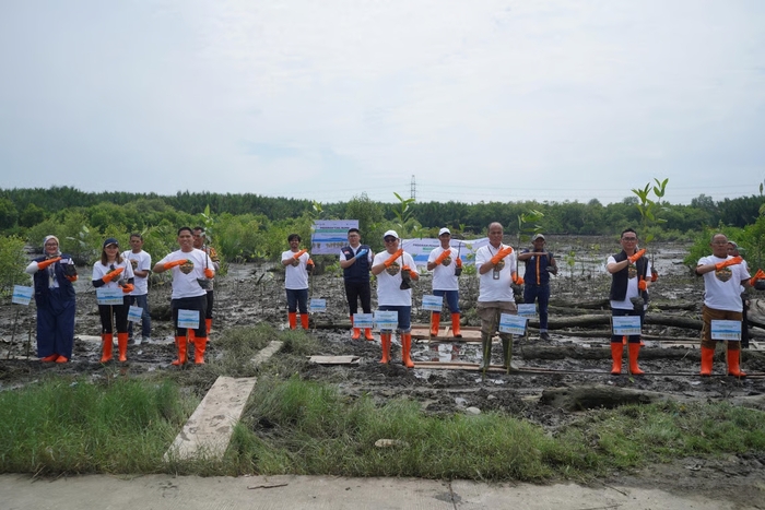 pelindo mangrove