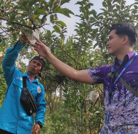 binus malang kembangkan inovasi teknologi atasi penyakit dan hama pada apel manalagi binus malang kembangkan inovasi teknologi atasi penyakit dan hama pada apel manalagi