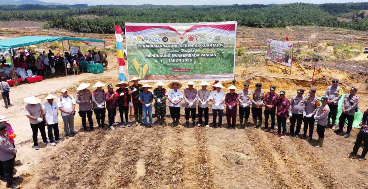 dukung swasembada pangan nasional, holding perkebunan nusantara melalui ptpn iv regional v dan polres sanggau gelar penanaman jagung kuartal iv serentak di kembayan